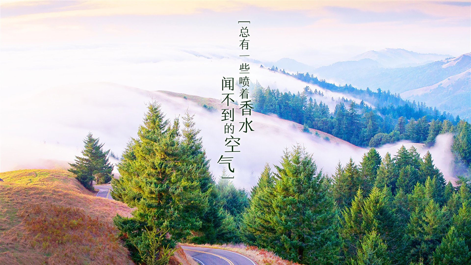 球迷最期待：不可错过的本周大战赛事，本周足球赛预告