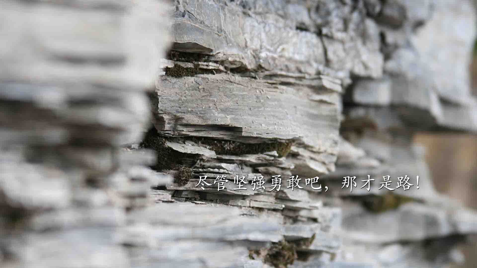 西甲焦点比赛：皇马主场迎战马竞，悬念渐浓，西甲皇马马竞视频直播