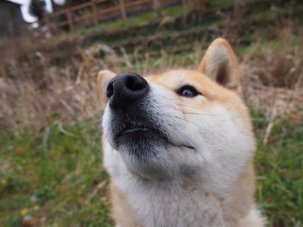 切尔西战术纪律严明，球员执行力强，切尔西是什么阵型