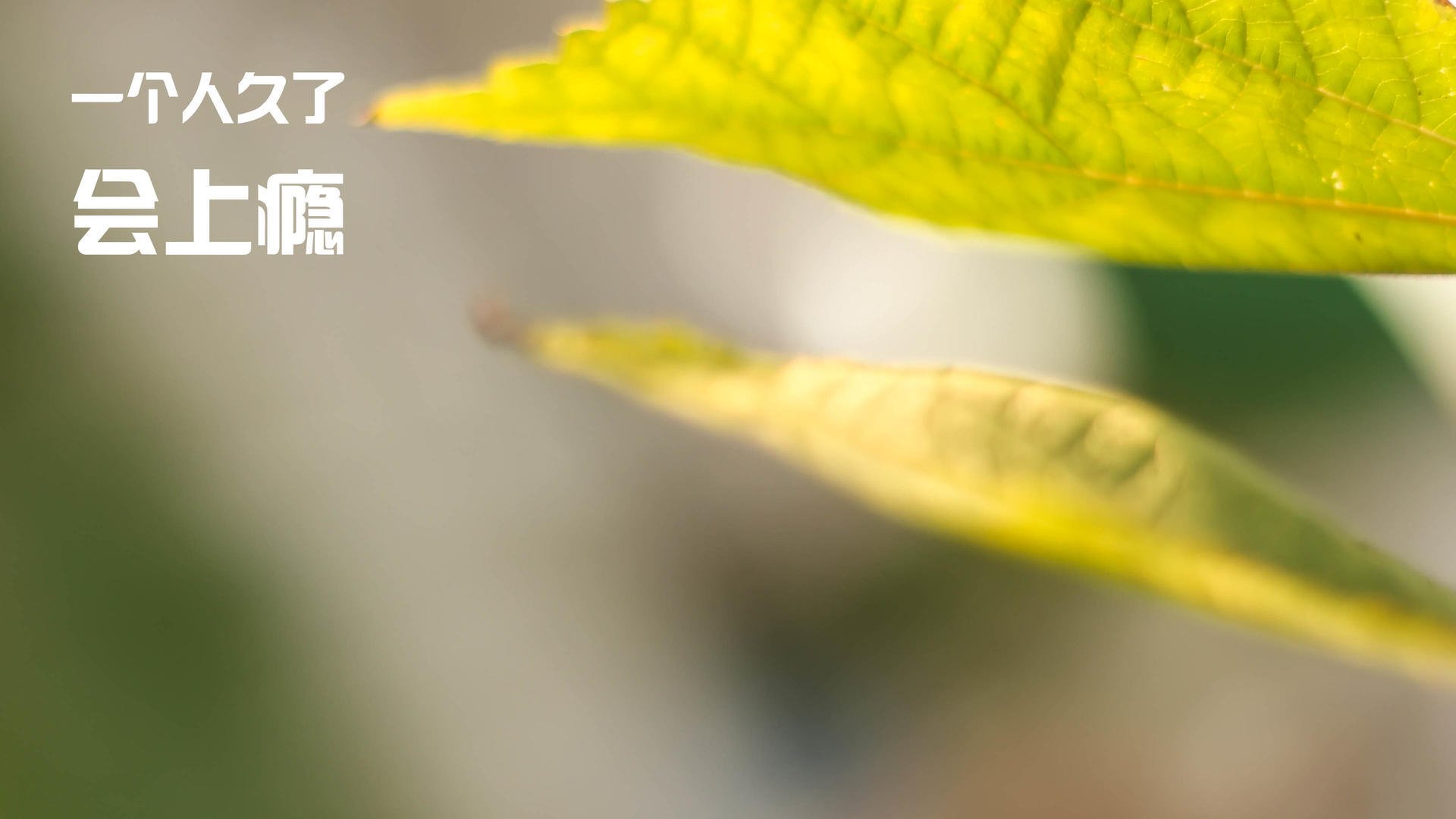 中乙联赛整合视频剪辑平台提高训练素材生成效率，中乙集锦