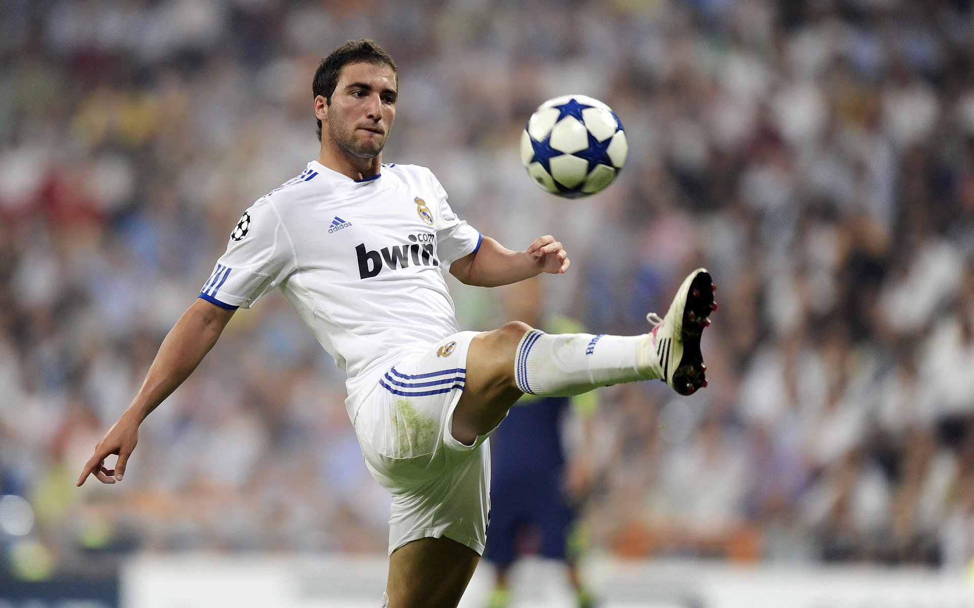 格林伍德的防守表现让袋鼠队在压力中屡屡守住关键比分，格林伍德强吗